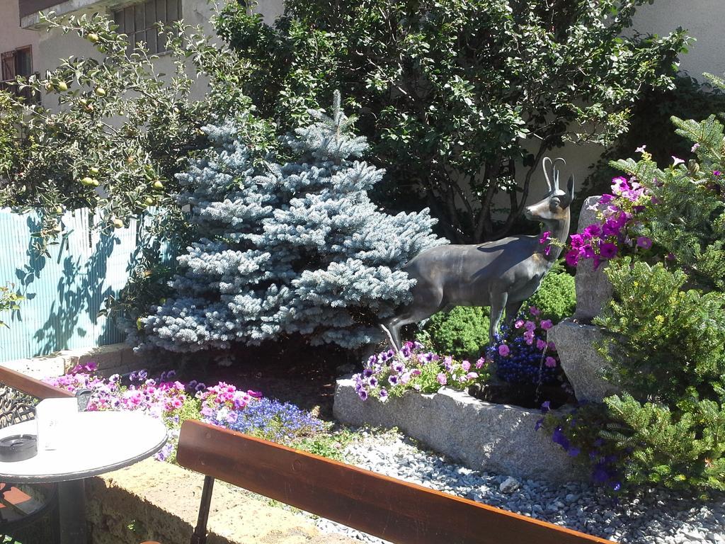 Alice Affittacamere Cesana Torinese Exterior foto